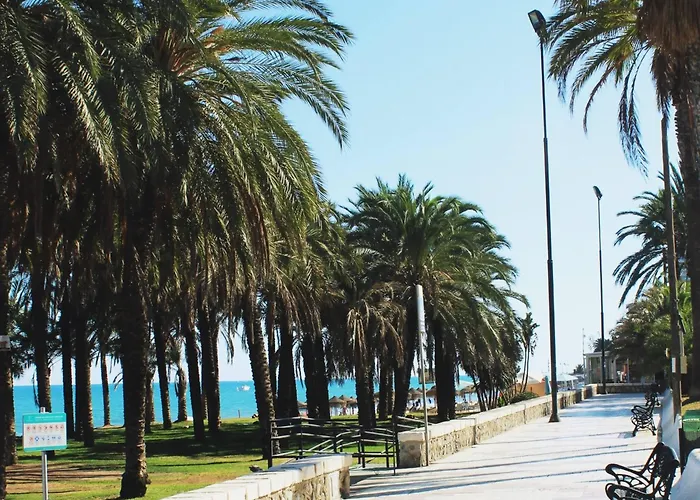 Apartamento Esplendido A Pie De Playa En *